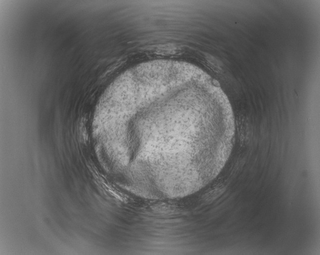 X0000080670962200701051004