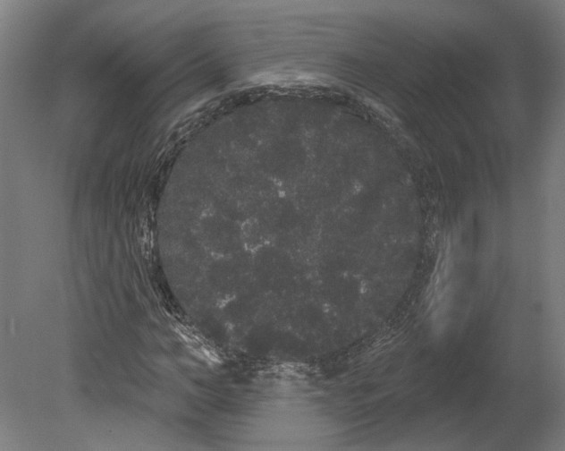 X0000080670966200701051004