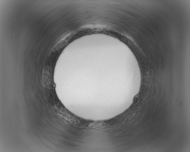 X0000080670967200701051004