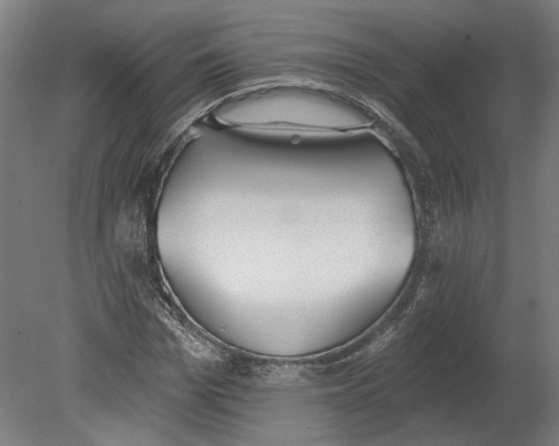 X0000080670969200701051004