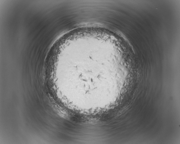 X0000080670975200701051004