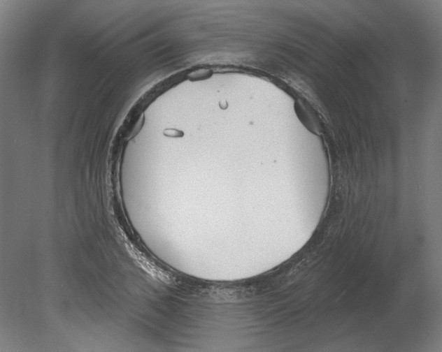 X0000080670976200701051004