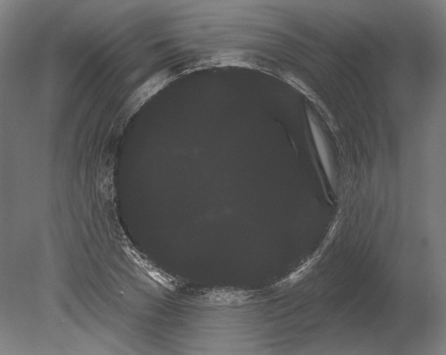 X0000080670977200701051004