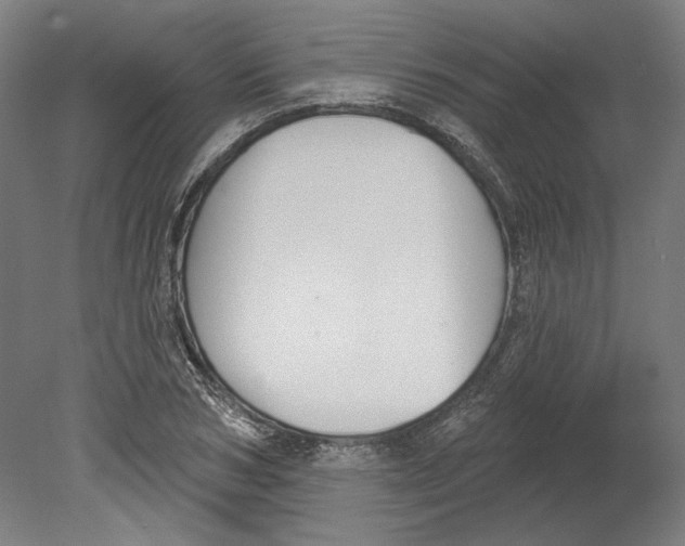 X0000080670978200701051004