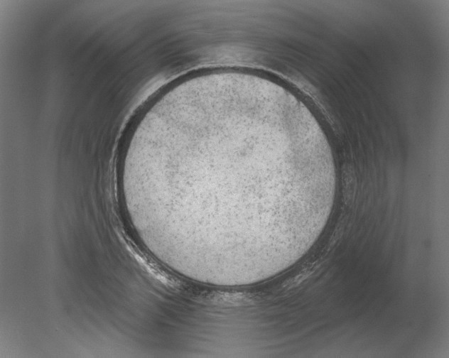 X0000080670982200701051004