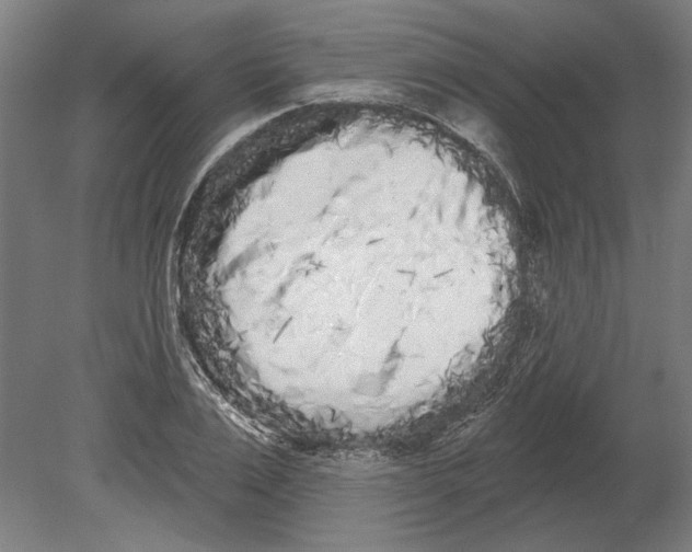 X0000080670983200701051004