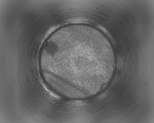 X0000080670986200701051004