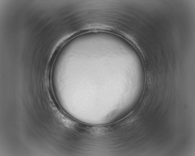 X0000080670987200701051004