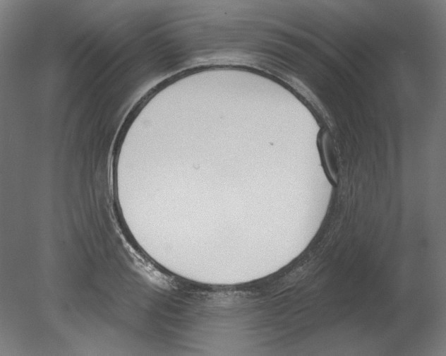 X0000080670988200701051004