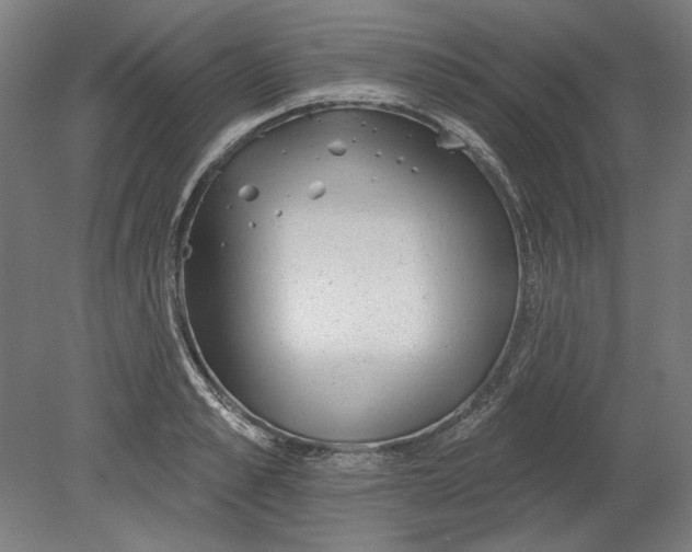 X0000080670989200701051004