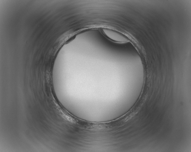 X0000080670993200701051004