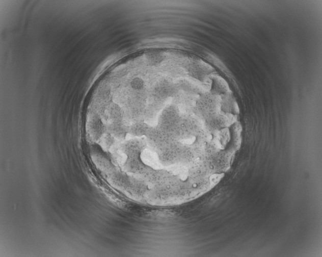 X0000080670994200701051004