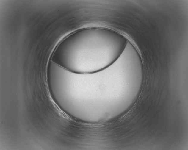 X0000080670996200701051004