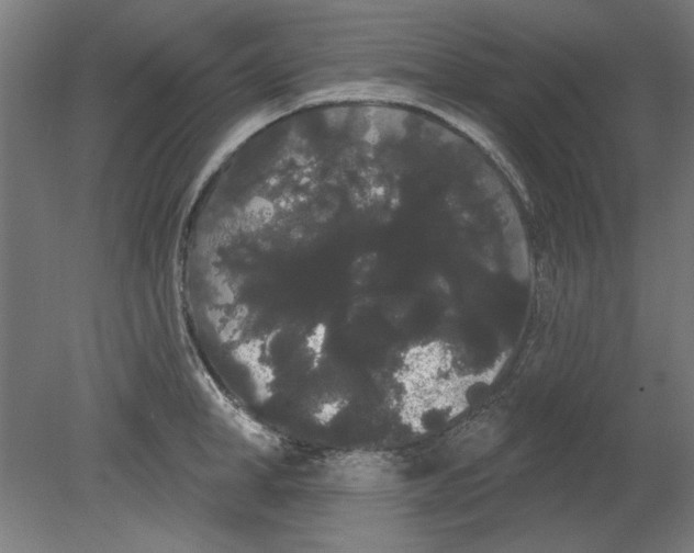 X0000080670998200701051004