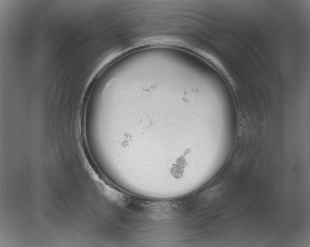 X0000080670999200701051004