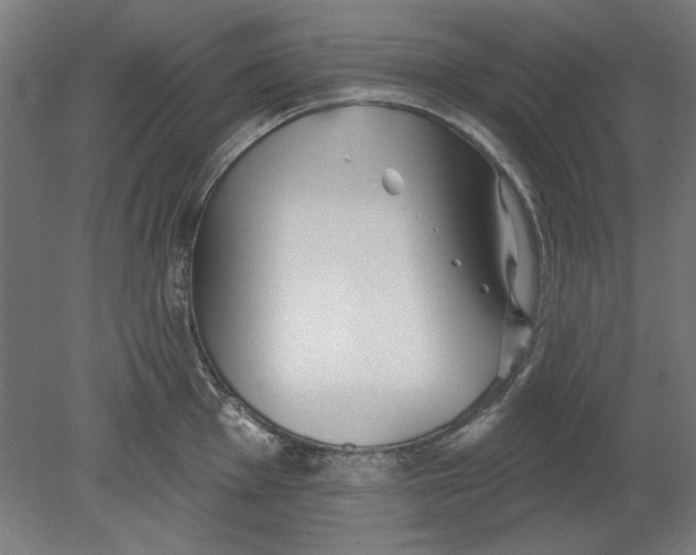 X0000080671001200701051003