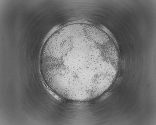 X0000080671002200701051003