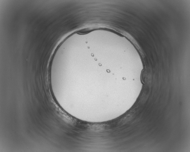 X0000080671004200701051003