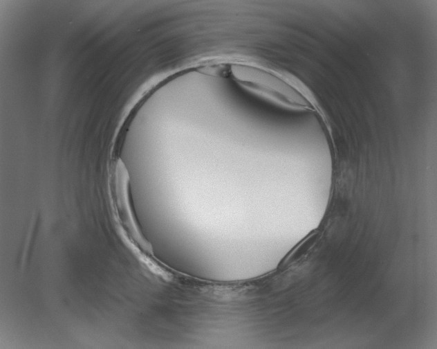 X0000080671005200701051003