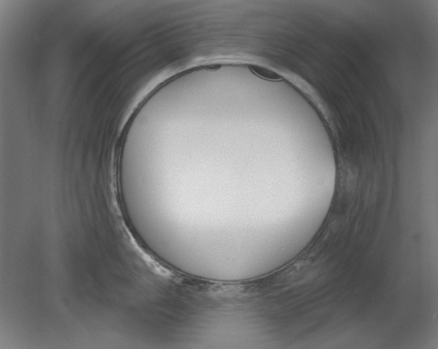 X0000080671006200701051003