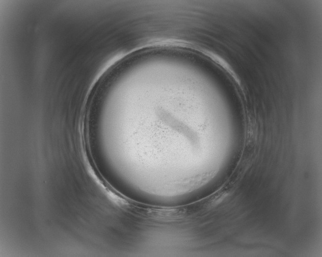 X0000080671007200701051003