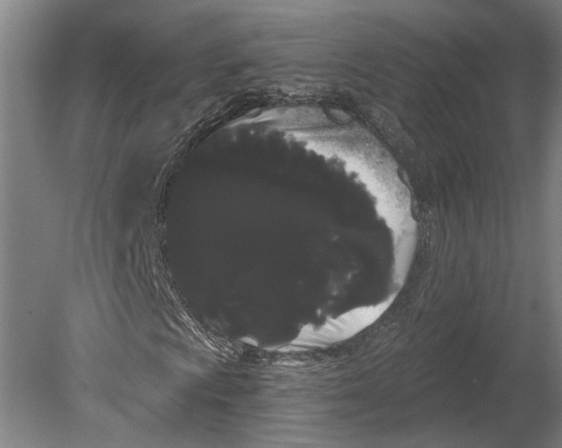 X0000080671009200701051003