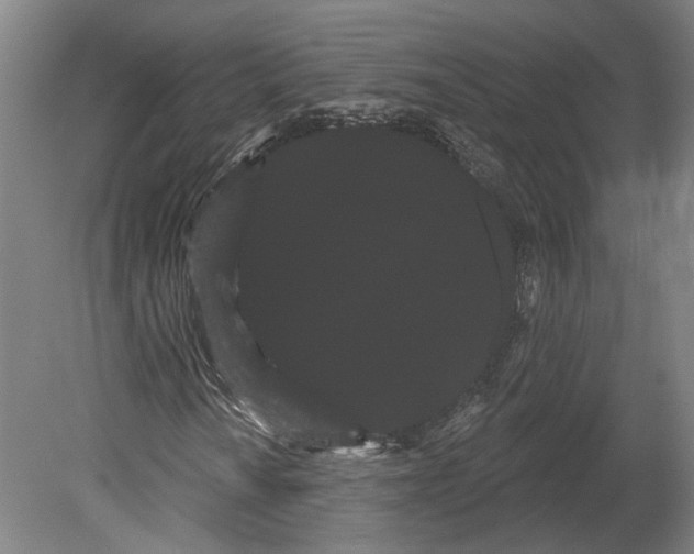 X0000080671010200701051003