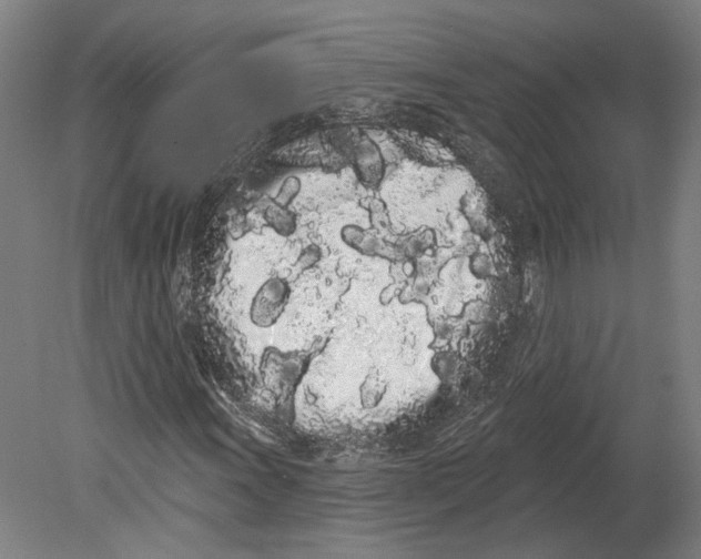 X0000080671011200701051003