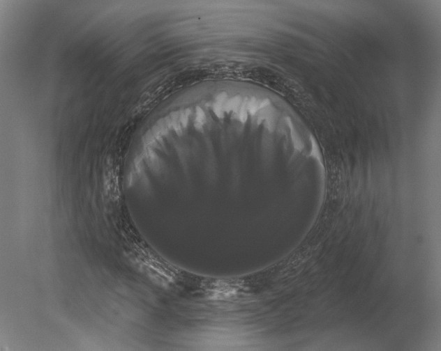 X0000080671013200701051003