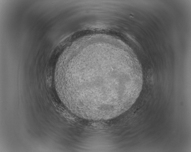 X0000080671015200701051003