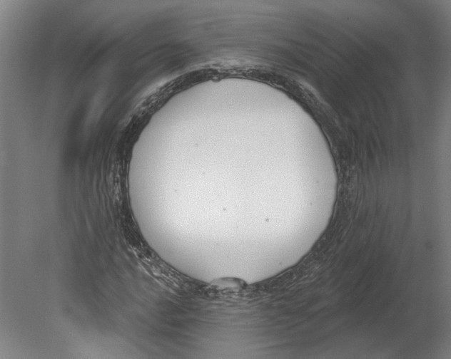 X0000080671016200701051003