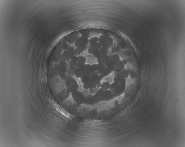 X0000080671019200701051003