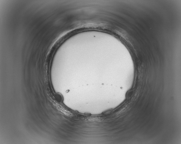 X0000080671021200701051003