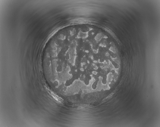 X0000080671023200701051003