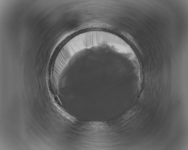 X0000080671024200701051003