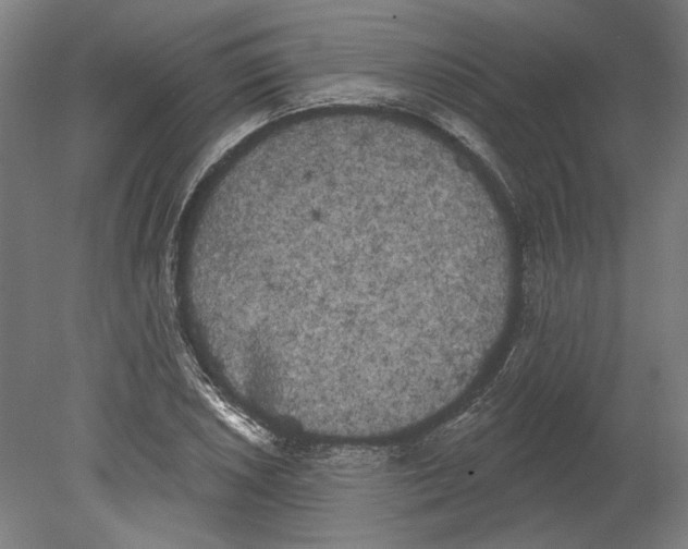 X0000080671026200701051003