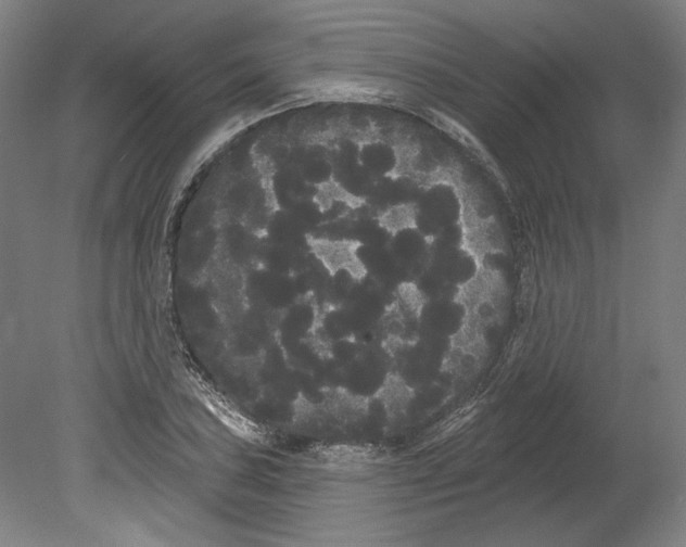 X0000080671027200701051003