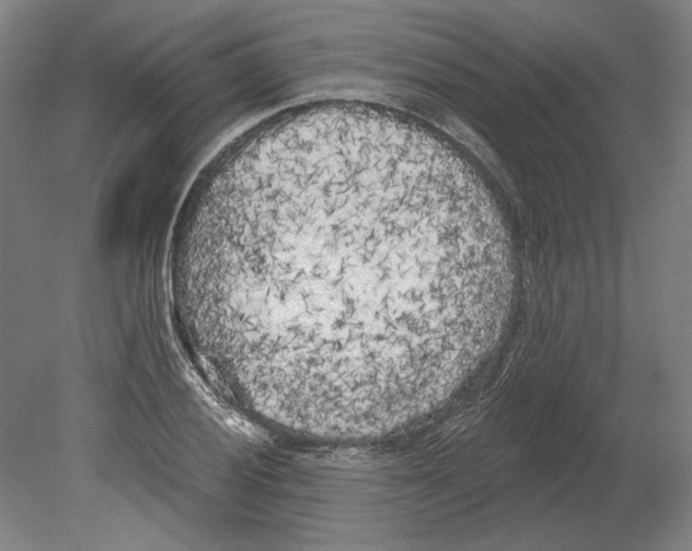 X0000080671028200701051003