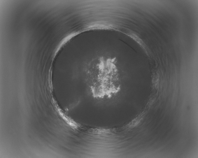 X0000080671030200701051003