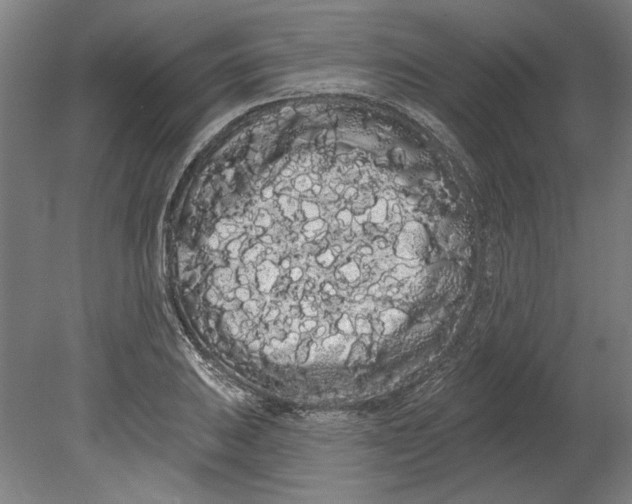 X0000080671031200701051003