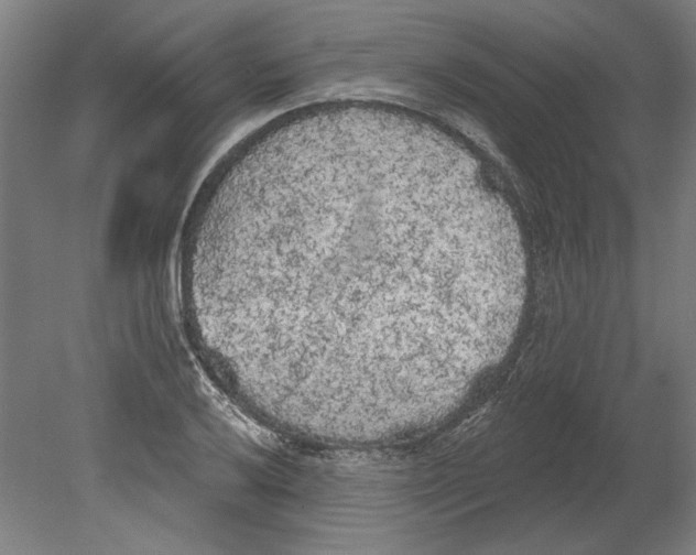 X0000080671032200701051003