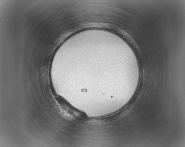 X0000080671033200701051003