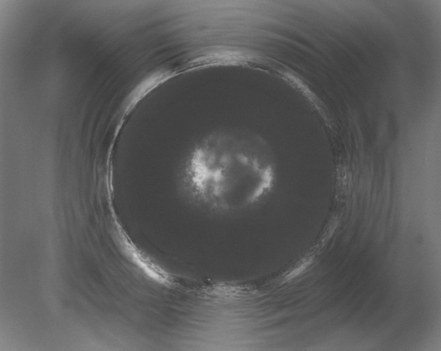 X0000080671034200701051003