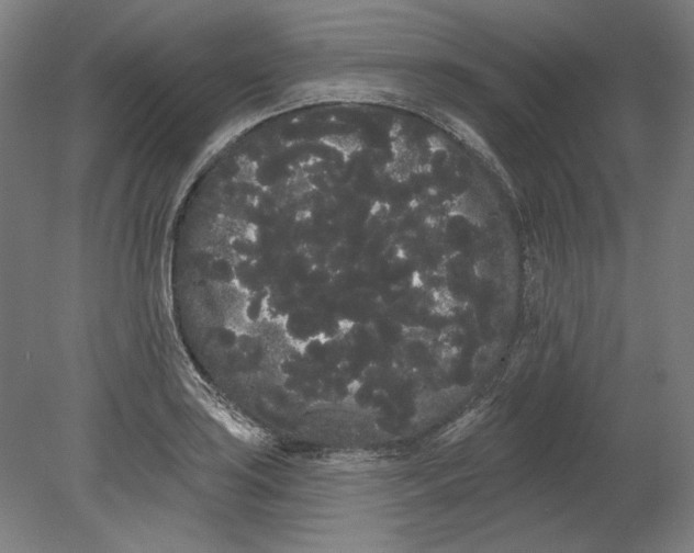 X0000080671035200701051003