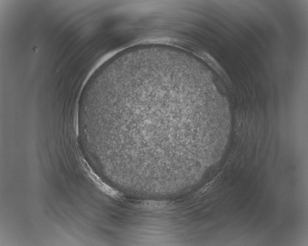 X0000080671036200701051003