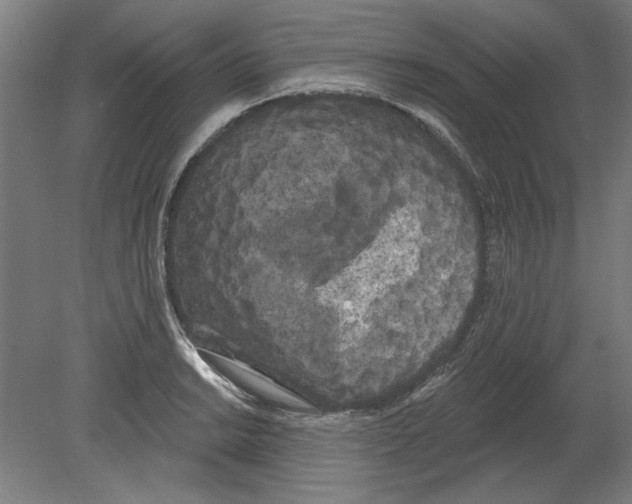 X0000080671038200701051003