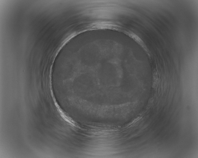 X0000080671039200701051003