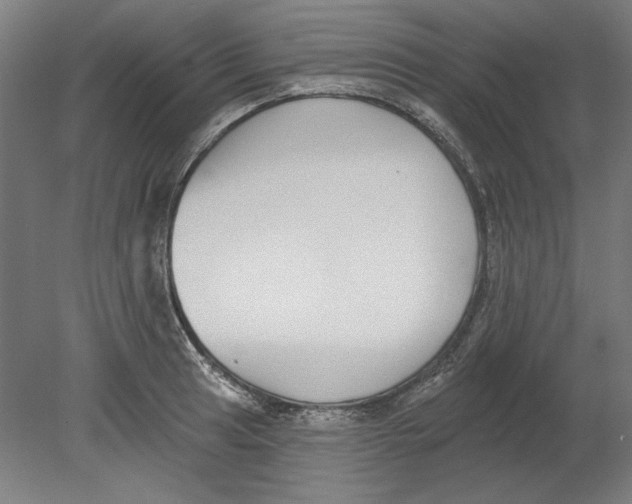 X0000080671041200701051003