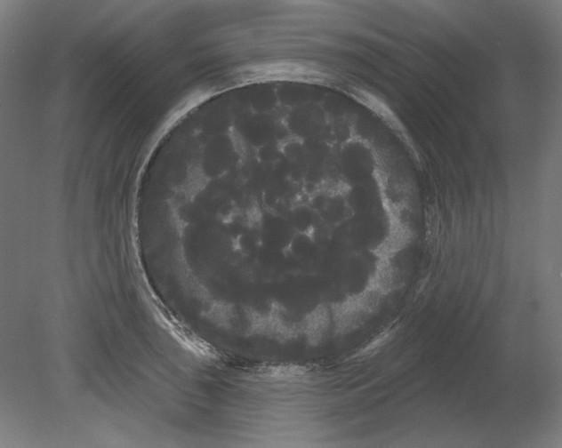 X0000080671043200701051003