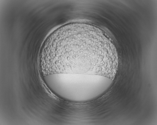 X0000080671044200701051003